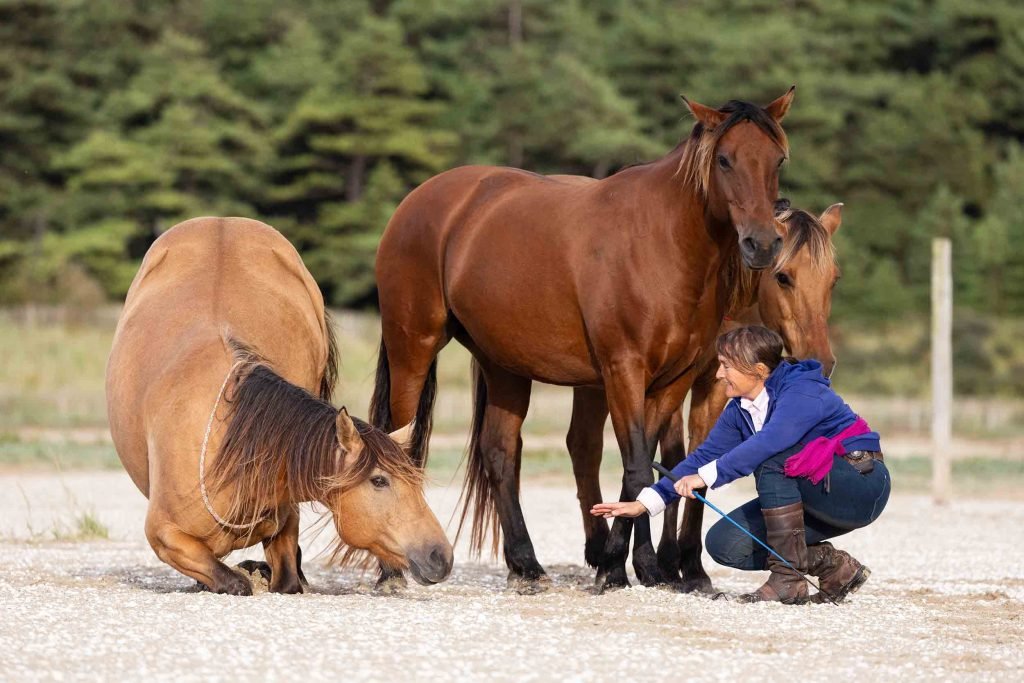 Méthode équi-Libre