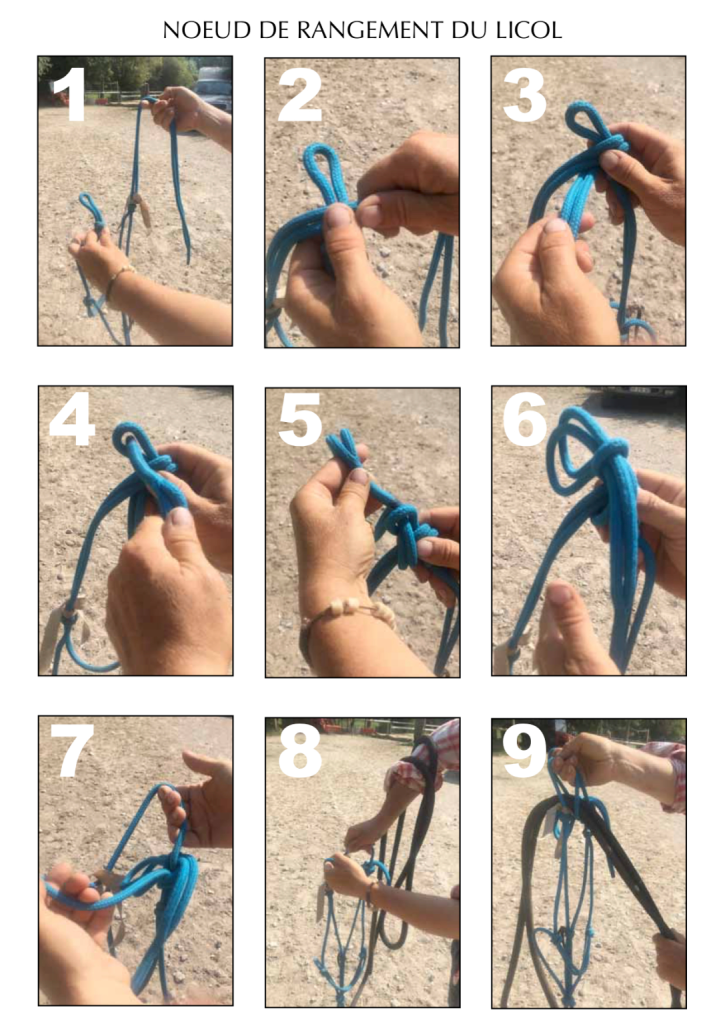 Ranger son licol corde