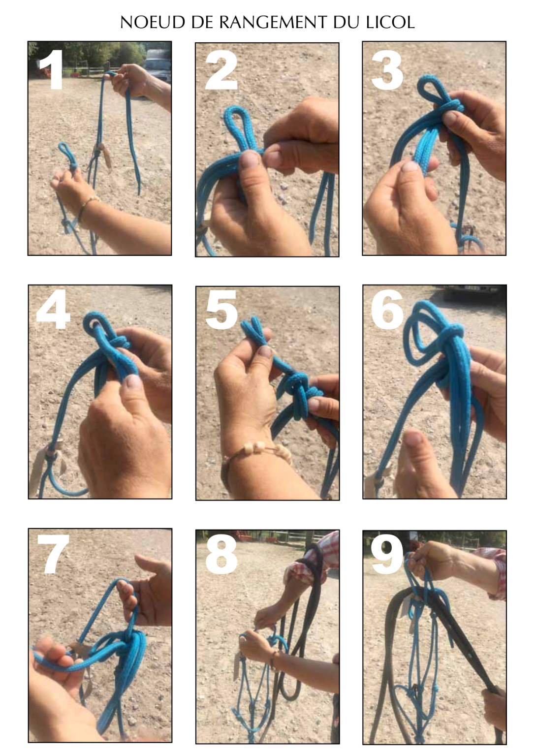 Ranger son licol corde