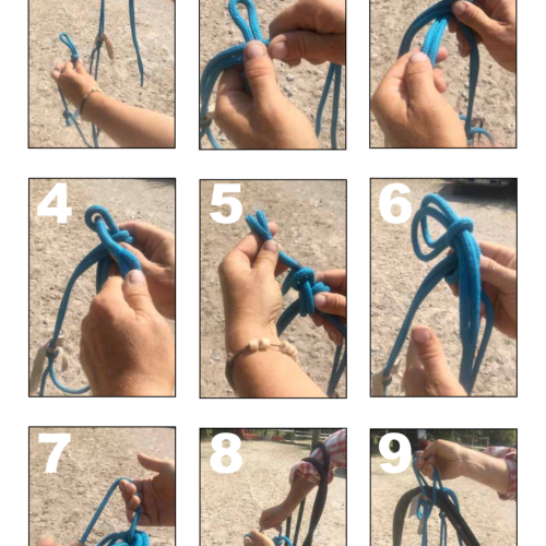 Ranger son licol corde