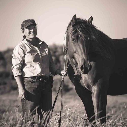 Équitation éthologique vs équitation classique : quelles différences ?