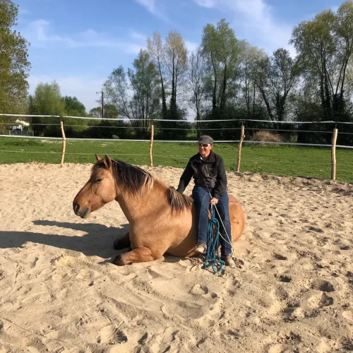 Comment savoir si j’ai un cheval connecté et calme ?